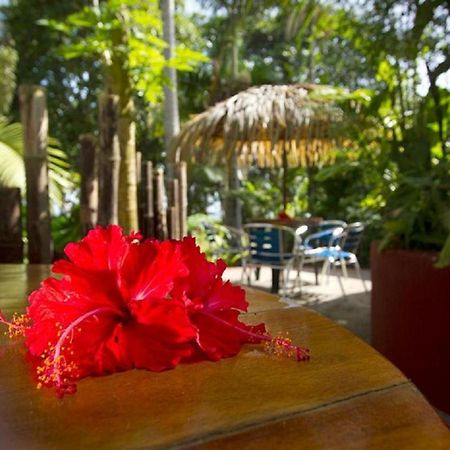 Villas Del Caribe Puerto Viejo de Talamanca 外观 照片