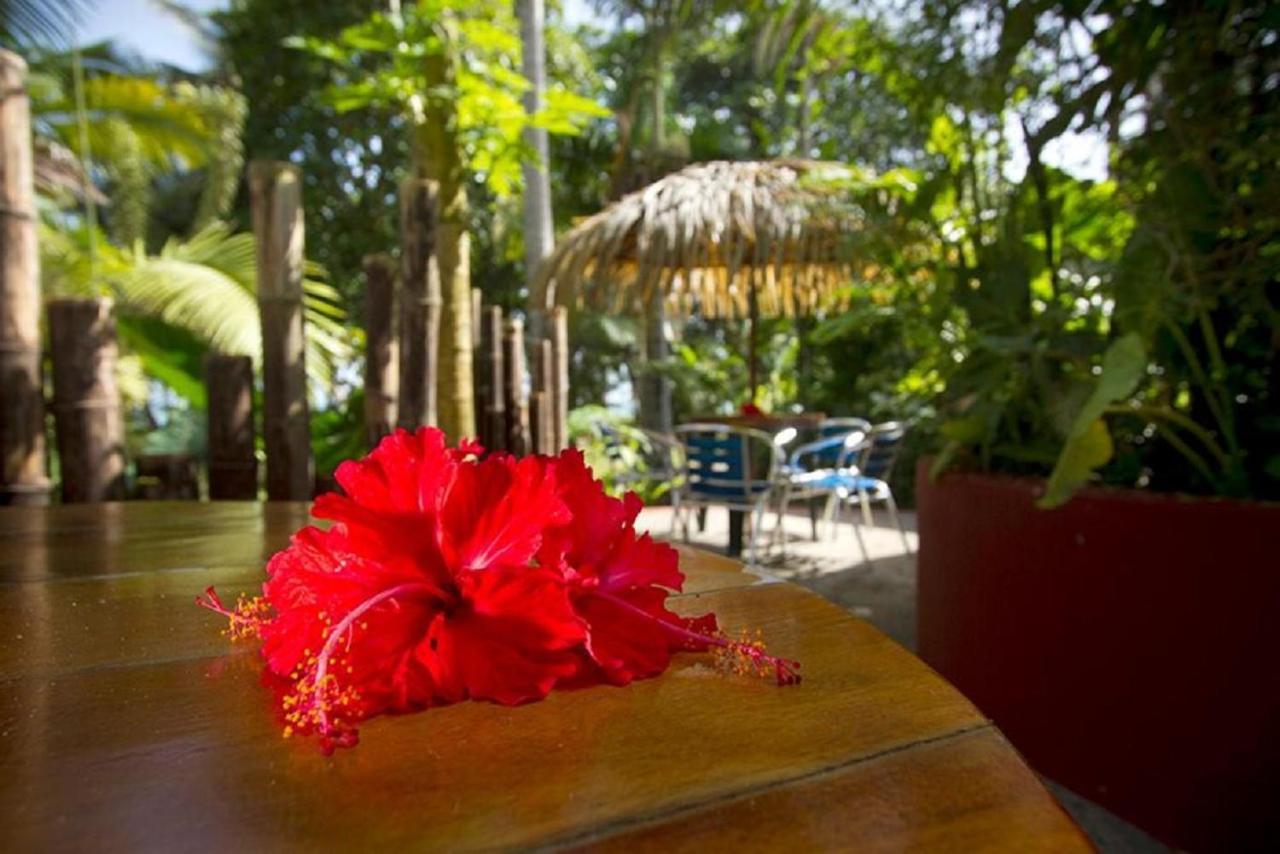Villas Del Caribe Puerto Viejo de Talamanca 外观 照片