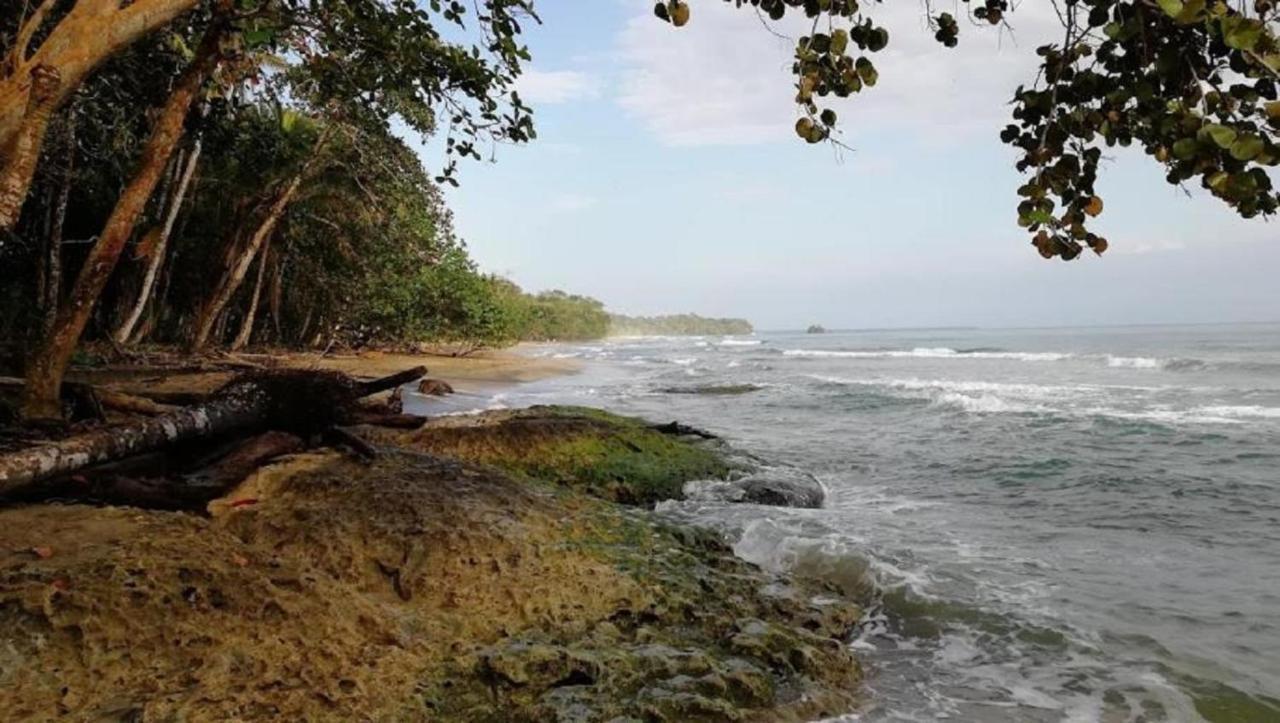 Villas Del Caribe Puerto Viejo de Talamanca 外观 照片