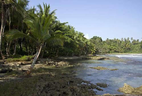 Villas Del Caribe Puerto Viejo de Talamanca 外观 照片